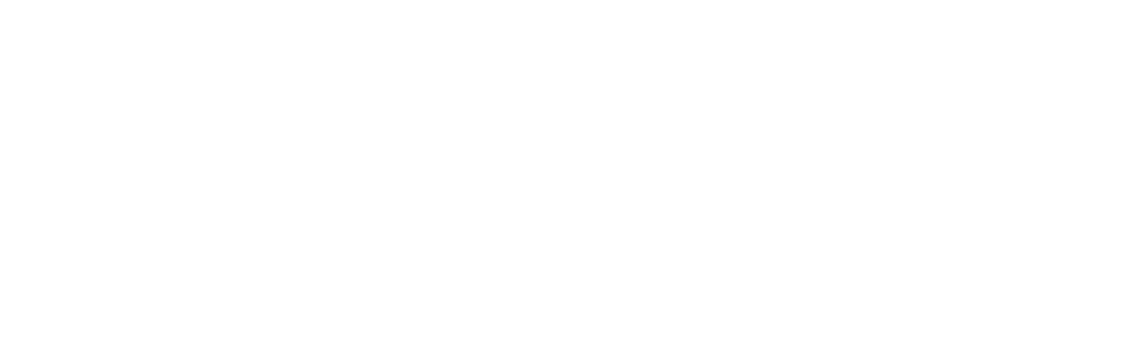 Logo nom Sonia Marty blanc fond transparent